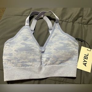 aybl evolve bra